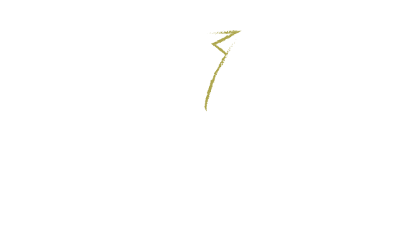 Veronica Confection
